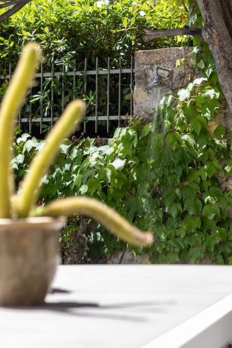 Il Giardino Tra Cielo E Mare Apartment Porto Venere Exterior photo